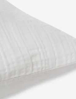 Darcy Sham -Chic Furniture Sale 103 V250172 3 900x c2dc3a83 0488 4d19 b802 be787c8379f4