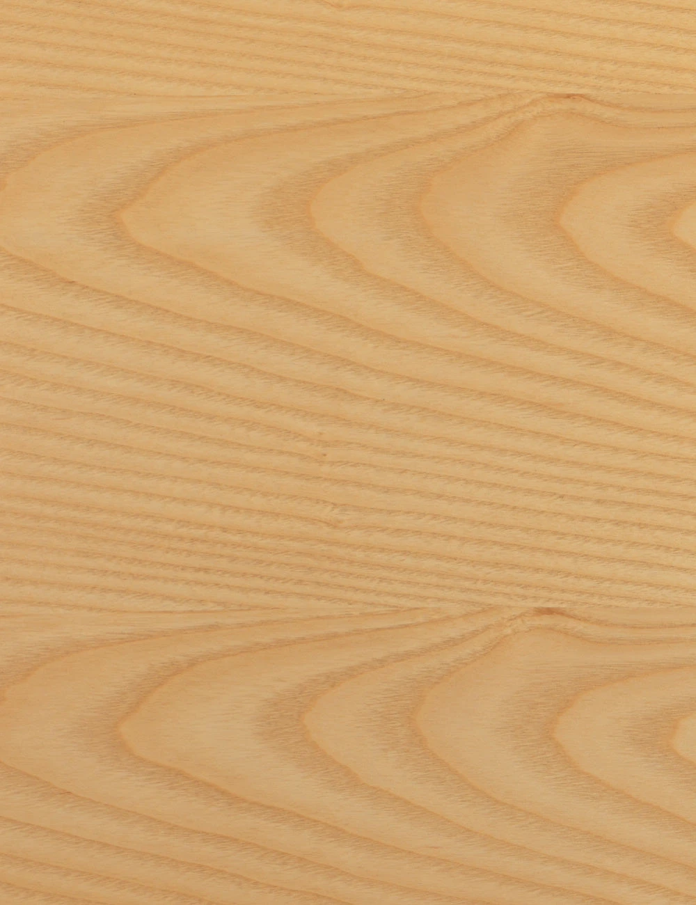 Paul Bar And Counter Stool 6 Paul Bar And Counter Stool - Image 6