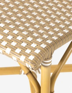 Monet Indoor / Outdoor Dining Chair -Chic Furniture Sale 226843 001 DET 3