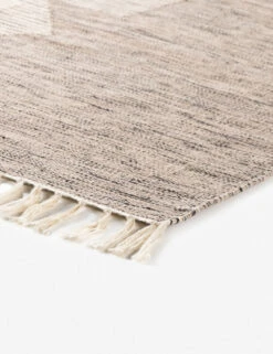 Iliana Indoor / Outdoor Rug -Chic Furniture Sale 227629 001 DET 1