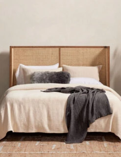 Jeni Platform Bed -Chic Furniture Sale 227834 005 HOV 1