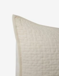 Clemence Sham -Chic Furniture Sale ClemenceSham Bone Euro L0466346 105