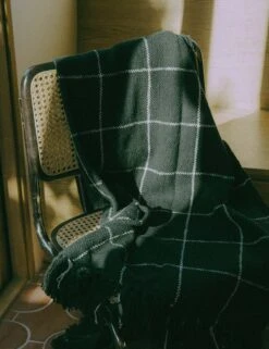 Claude Throw By Morrow Soft Goods -Chic Furniture Sale Crops 0002 Claude Midnight 0063copy