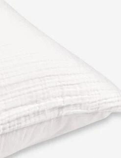 Darcy Sham -Chic Furniture Sale DarcySham2 ef35bb42 d492 4121 9bfb f0e6be8ba96e