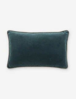 Clune Lumbar Pillow -Chic Furniture Sale EMS03