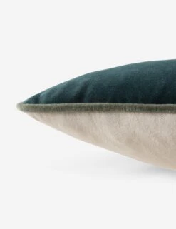Clune Lumbar Pillow -Chic Furniture Sale EMS03 2