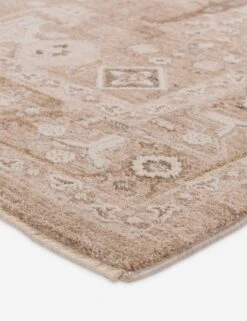 Lochlan Rug 15 Lochlan Rug -Chic Furniture Sale LIL04 1