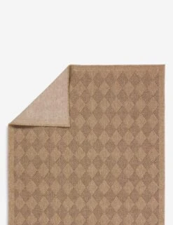 Adisa Indoor / Outdoor Rug -Chic Furniture Sale NMB05 2