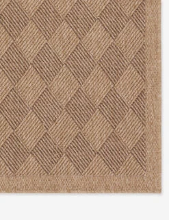 Adisa Indoor / Outdoor Rug -Chic Furniture Sale NMB05 3