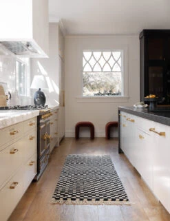 Checkerboard Rug By Sarah Sherman Samuel -Chic Furniture Sale Runners 2010 V1 SITECROP