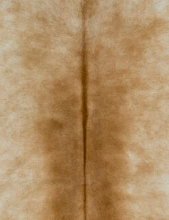 Cinnamon One-Of-A-Kind Hide Rug -Chic Furniture Sale pga1000 swatch